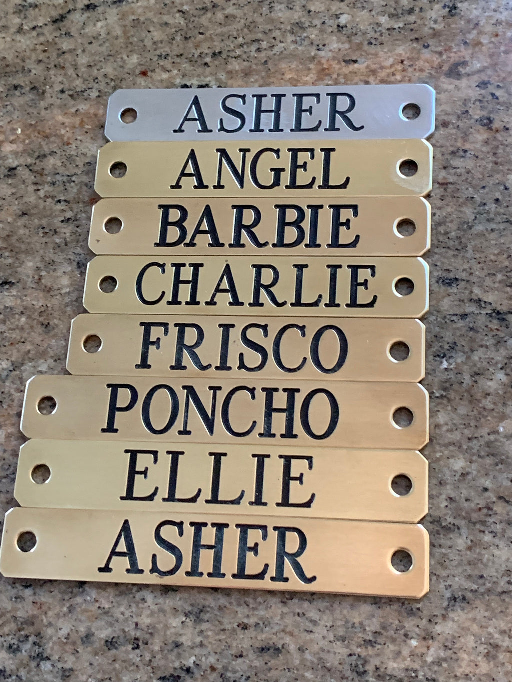 Sample of custom engraved brass name plates showing various horse names — SS Saddlery