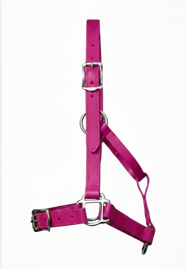 Magenta