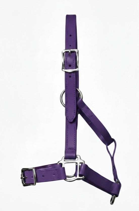Violet