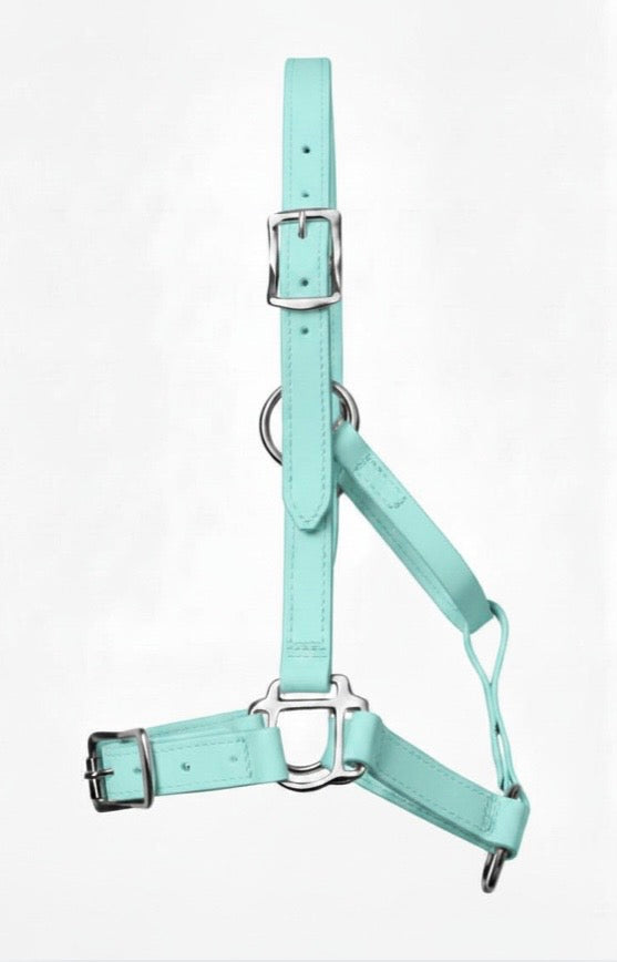 Pastel Green