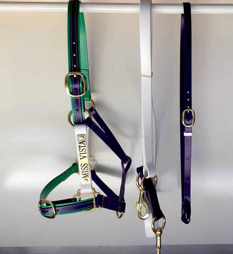 White and purple Biothane double clip lead with brass clips flat lay — SS Saddlery