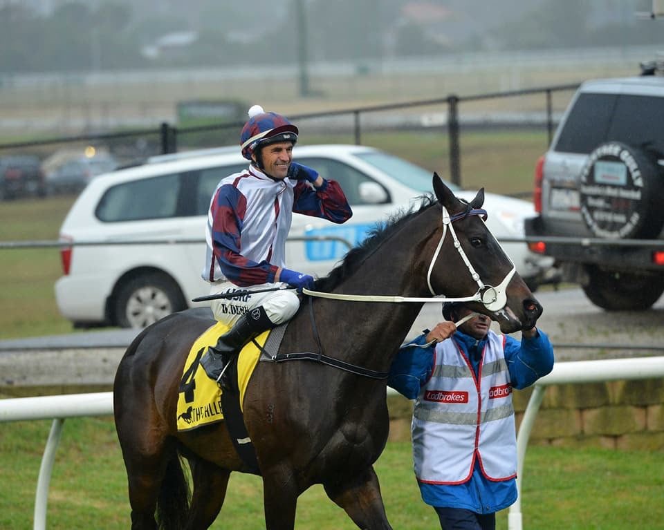 Race horse wearing white and navy SS Saddlery bridle with cheekers