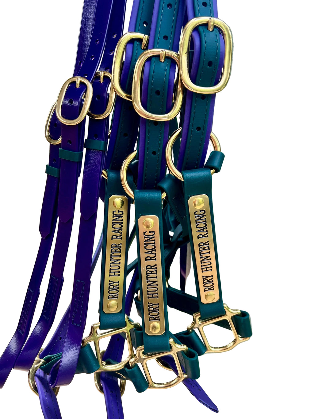 Purple and Green rearing bit straps with brass buckles and matching engraved name plate  halters — SS Saddlery